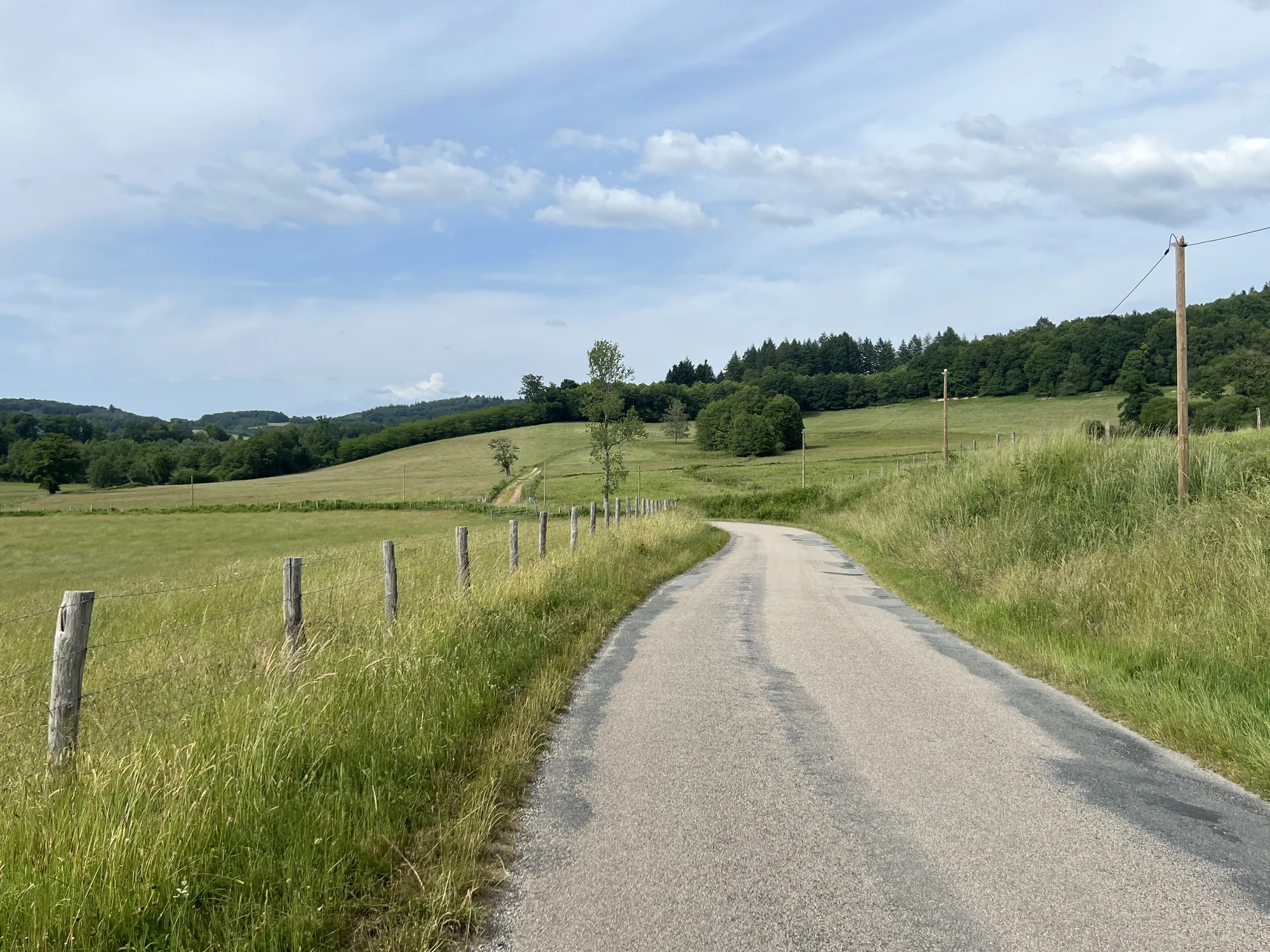 Sous-bois moussu dans la vallée du Thaurion, Creuse